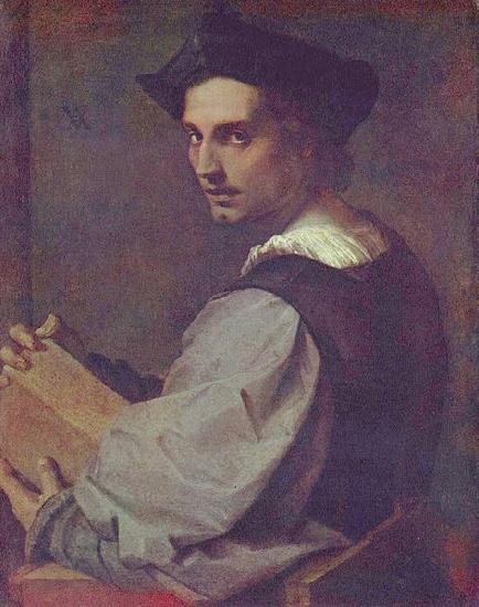 Andrea del Sarto Portrat eines jungen Mannes China oil painting art
